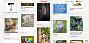 PrimroseUK's Pinterest Garden Wildlife board