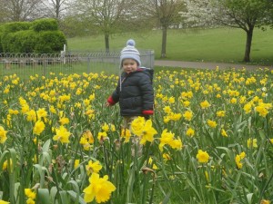 Child playing in daffodils