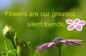 Flowers are our greatest silent friends