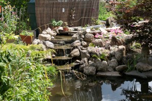 Jackie's new Waterfall water feature