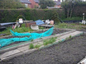 Craig's Allotment garden