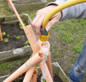 Watering through a pipe trellis