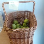 A basket of apples at Primrose