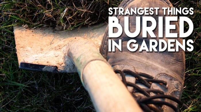 The Strangest Things People Bury In Their Garden - Gardening Tips