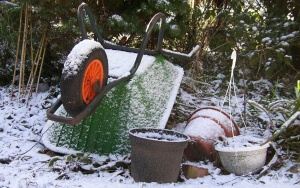 Gardening in Winter