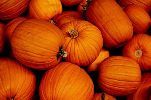 pile o pumpkins