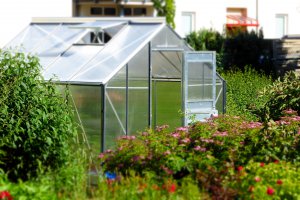 spring greenhouse