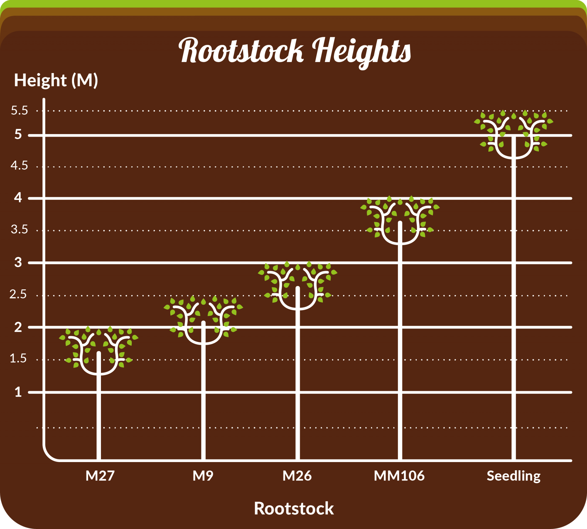 How to Choose The Perfect Apple Tree Rootstock - The Primrose Garden ...