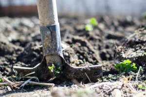 prepare your garden soil