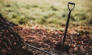 garden fork in a pile of leaves