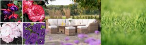 Bedding montage, Primrose Living Furniture and Grass