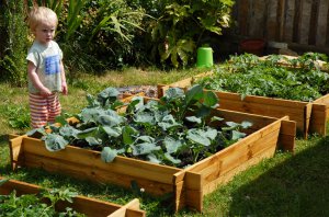 Raised Beds