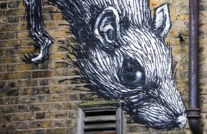 rat graffiti