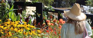 A woman enjoying the show at RHS Chelsea Flower Show 2021
