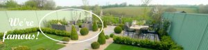primrose living at love your garden