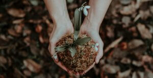 hands holding a plant in some soil