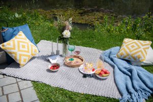 picnic on outdoor rug with outdoor cushions