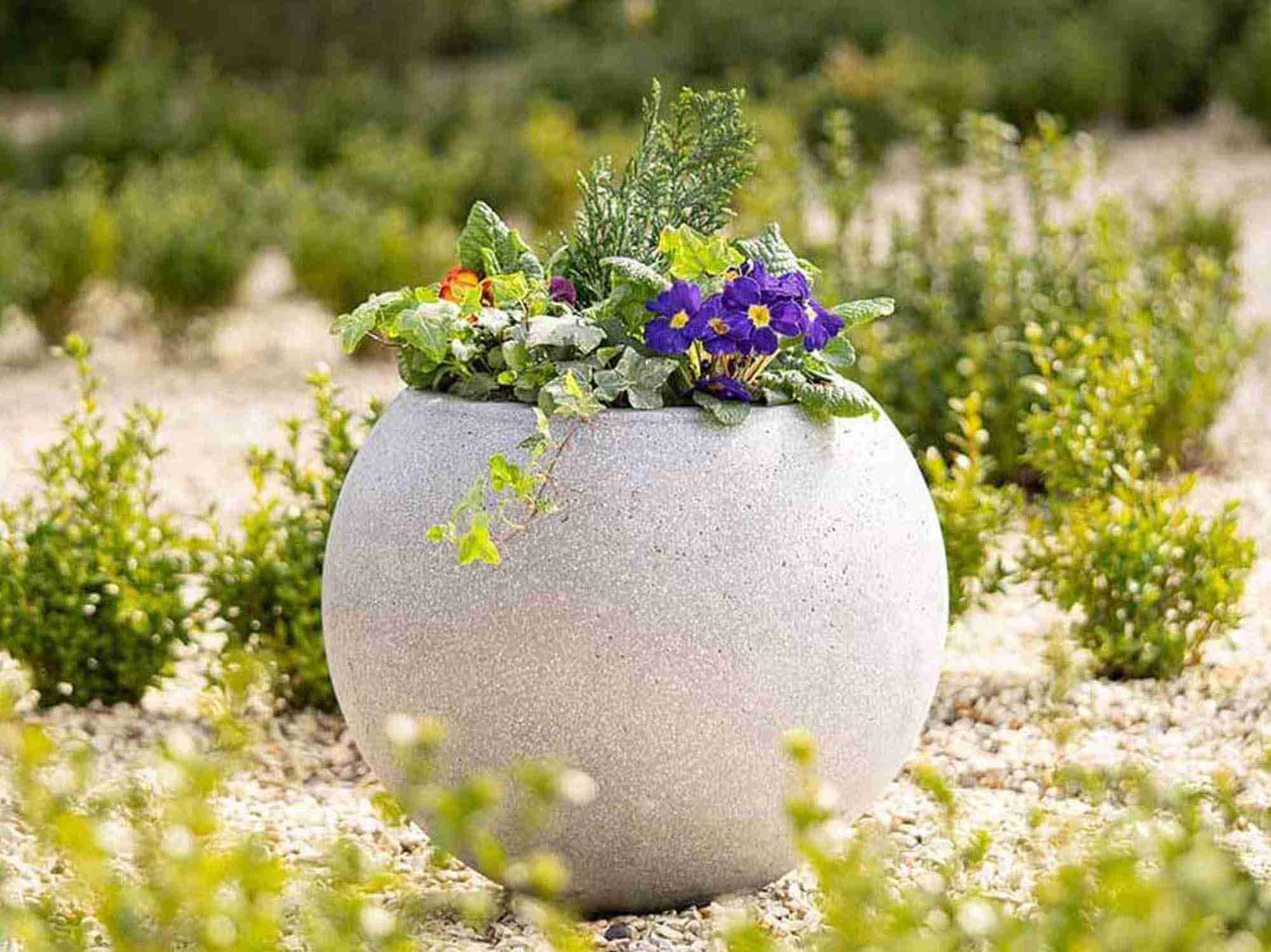What is a Planter? - The Primrose Garden Club | Expert Tips, Advice ...