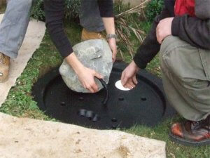 Water Feature Installation Guide - Gardening Tips, Advice and Inspiration